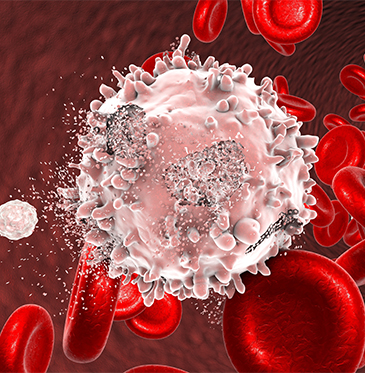 Is Blood Cancer Curable? Types, Causes, And Leukemia Treatment